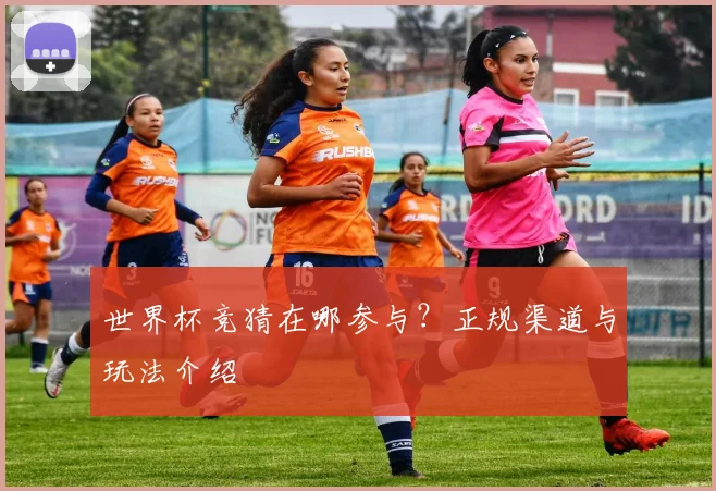 世界杯竞猜在哪参与?正规渠道与玩法介绍