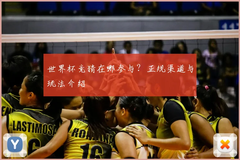 世界杯竞猜在哪参与?正规渠道与玩法介绍