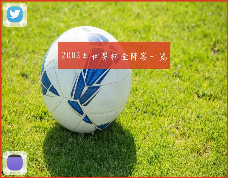 2002年世界杯全阵容一览
