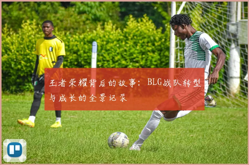 王者荣耀背后的故事：BLG战队转型与成长的全景记录