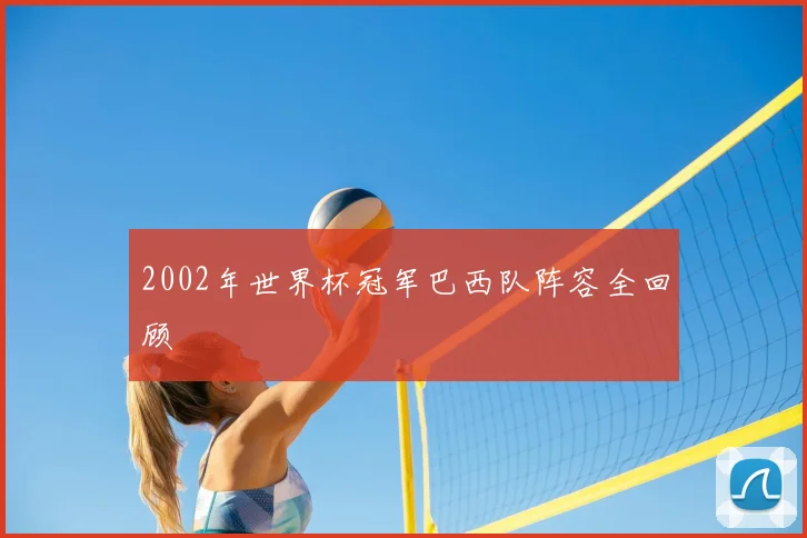 2002年世界杯冠军巴西队阵容全回顾