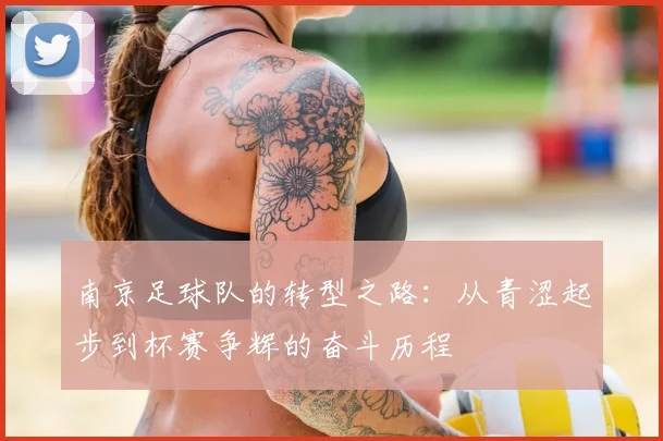 南京足球队的转型之路:从青涩起步到杯赛争辉的奋斗历程