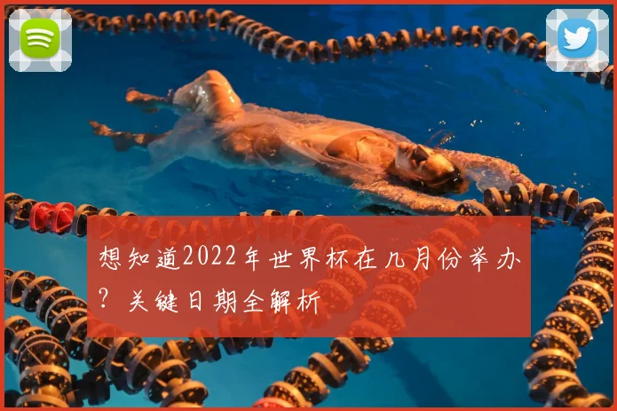 想知道2022年世界杯在几月份举办?关键日期全解析