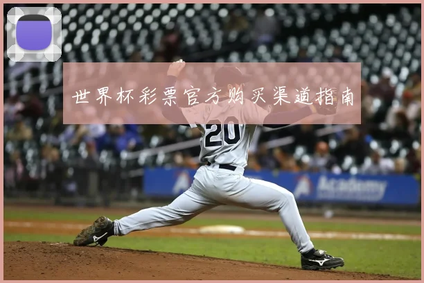 世界杯彩票官方购买渠道指南