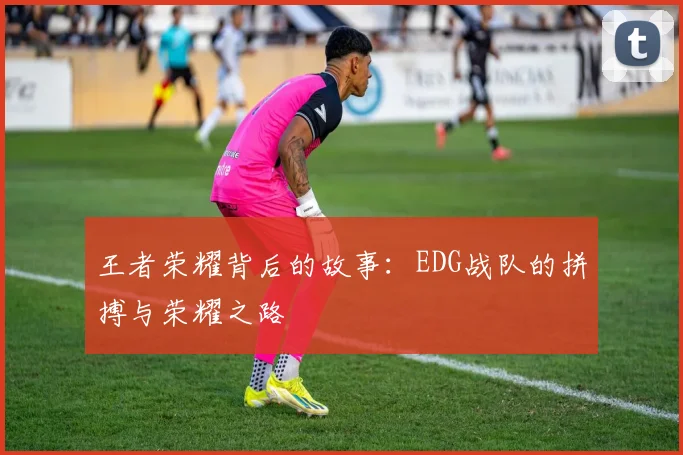 王者荣耀背后的故事：EDG战队的拼搏与荣耀之路
