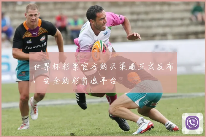 世界杯彩票官方购买渠道正式发布，安全购彩首选平台
