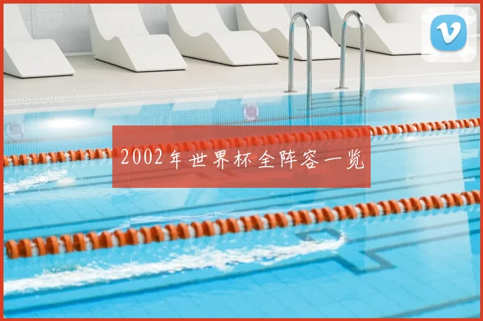 2002年世界杯全阵容一览