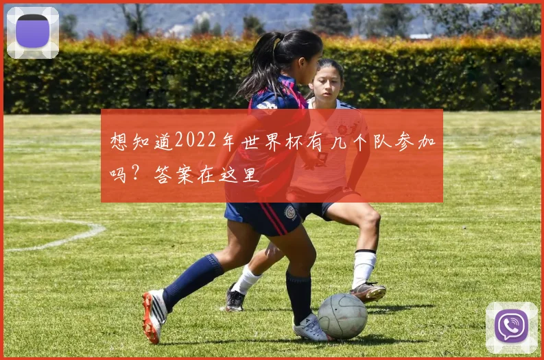 想知道2022年世界杯有几个队参加吗?答案在这里