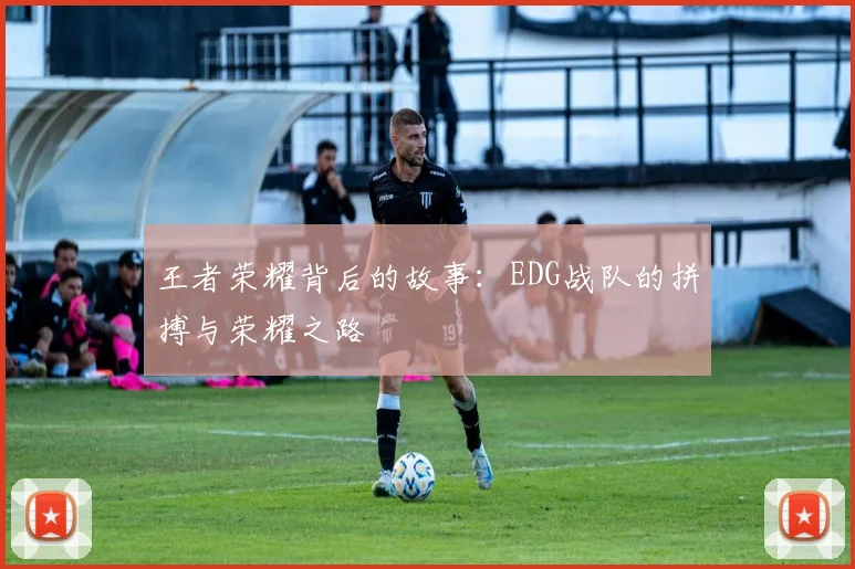 王者荣耀背后的故事：EDG战队的拼搏与荣耀之路