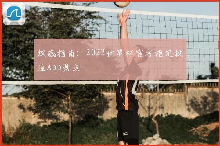权威指南:2022世界杯官方指定投注App盘点